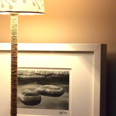 Dei Sassetti סאבונה