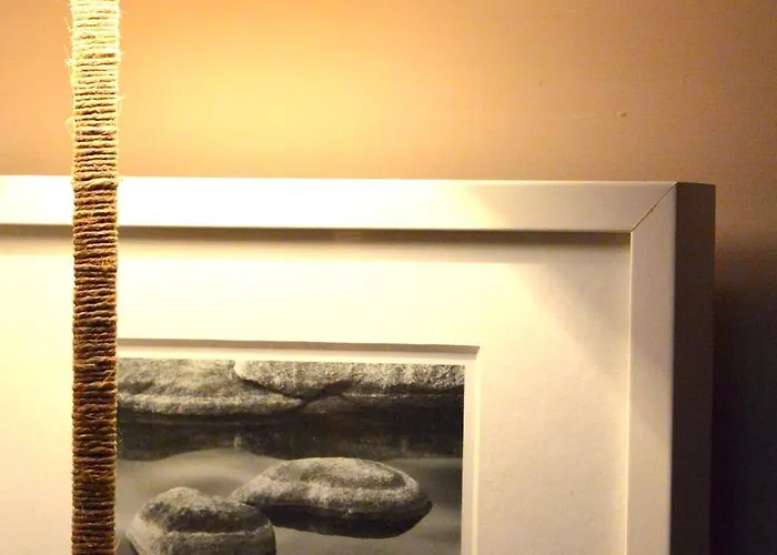 Dei Sassetti Savona